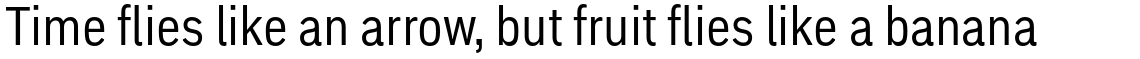 Embarcadero Pro Condensed