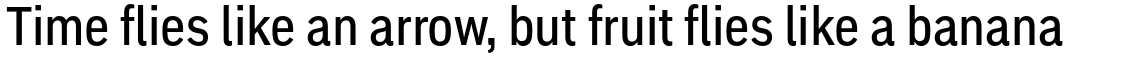 Embarcadero Pro Medium Condensed