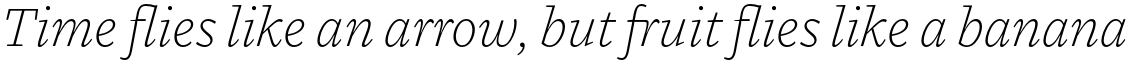 MVB Dovetail Extra Light Italic
