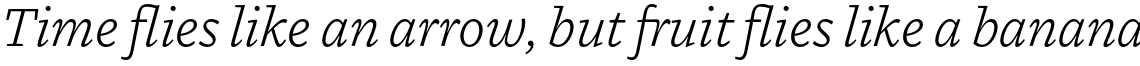 MVB Dovetail Light Italic