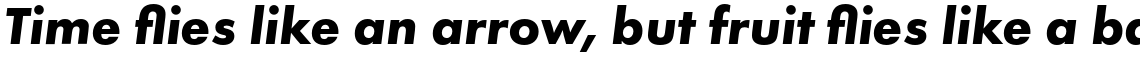 Futura PT Bold Oblique