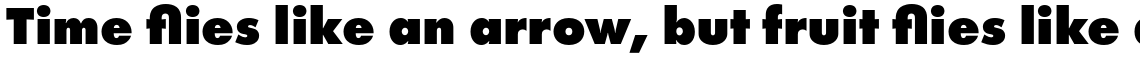 Futura PT Extra Bold