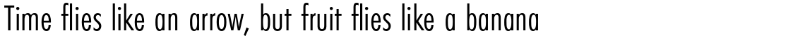 Futura PT Condensed Book