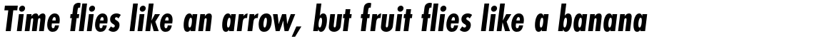 Futura PT Condensed Bold Oblique