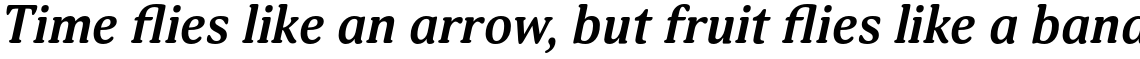 Adonis Bold Italic