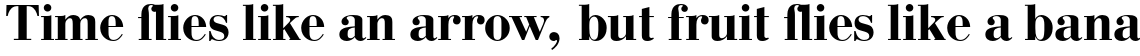 Bodoni Bold