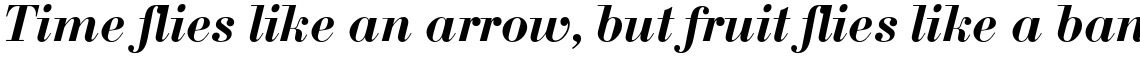 Bodoni Bold Italic