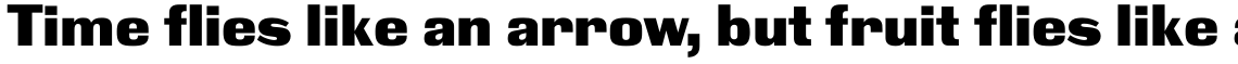Black Grotesk Black