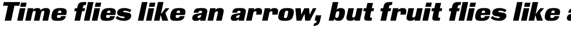 Black Grotesk Black Oblique