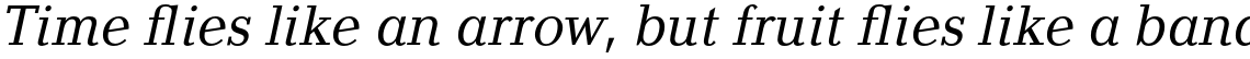 Baltica Book Italic