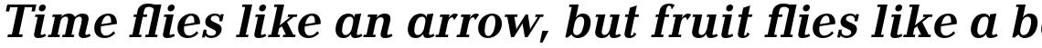 Baltica Bold Italic