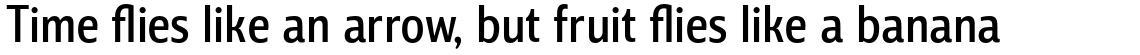 Barnaul Grotesk Medium