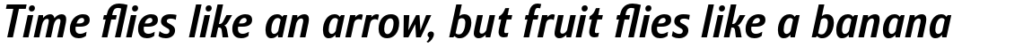 Barnaul Grotesk Bold Italic