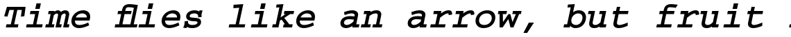 Courier Bold Oblique