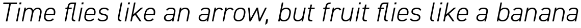 DIN 2014 Light Italic