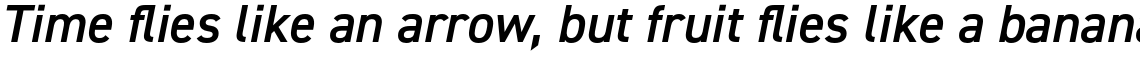 DIN 2014 Demi Italic