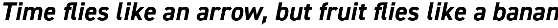 DIN 2014 Bold Italic