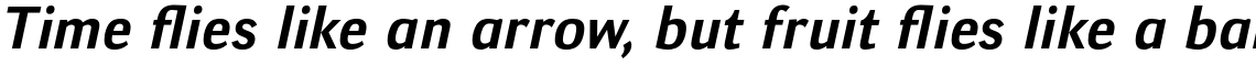 Deca Sans Bold Italic