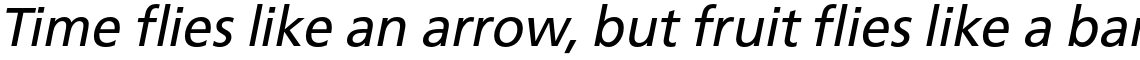 FreeSet Book Oblique
