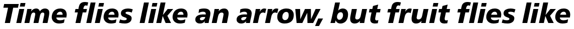 FreeSet Bold Oblique