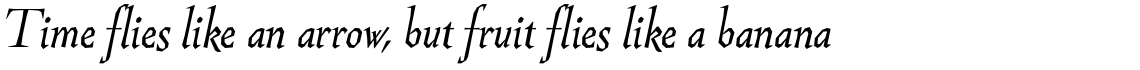 Guenter Italic