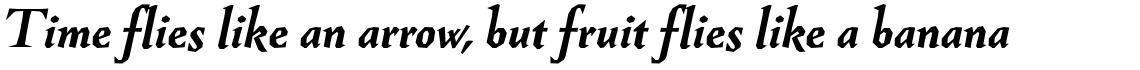Guenter Bold Italic