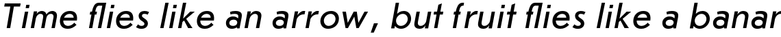 Journal Sans Italic