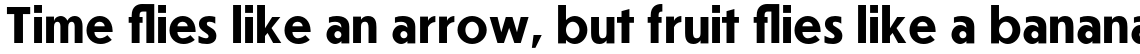 Journal Sans Bold