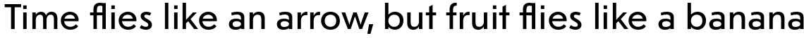 Journal Sans New Regular