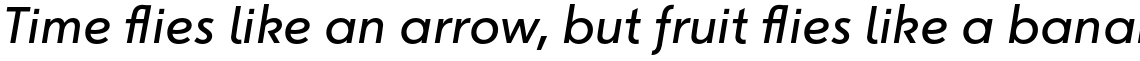 Journal Sans New Italic
