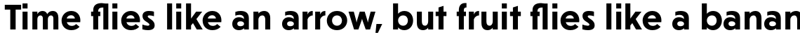 Journal Sans New Bold
