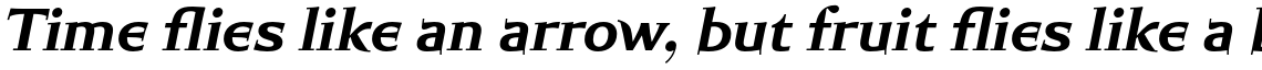 Kartell Bold Italic