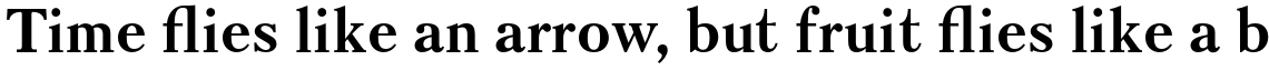 Kudryashev Bold
