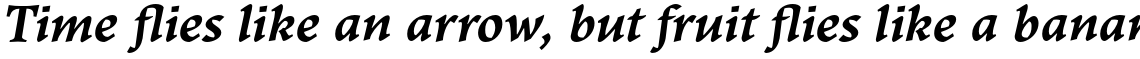 Ladoga Bold Italic