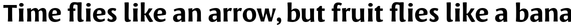 Leksa Sans Bold