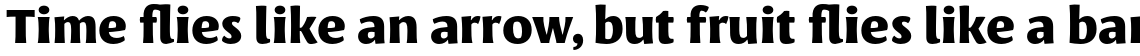 Leksa Sans Extra Bold