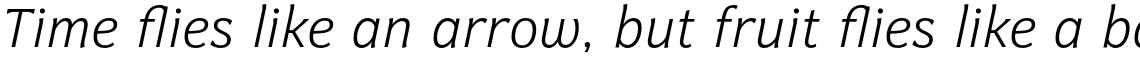 Levnam Light Italic