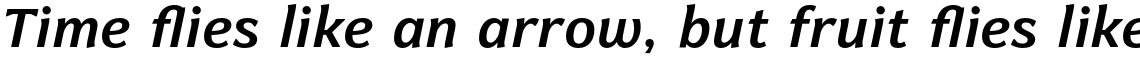 Levnam Bold Italic