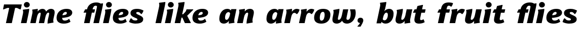 Levnam Black Italic