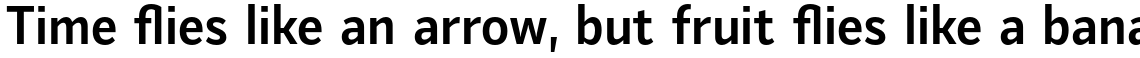 Mediator Narrow Bold