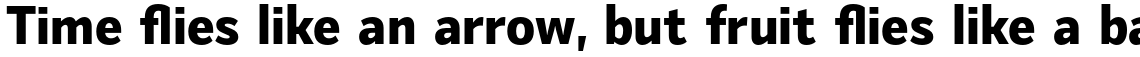Mediator Narrow Extra Bold