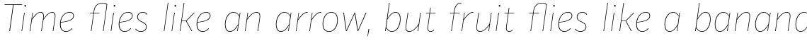 Mediator Thin Italic