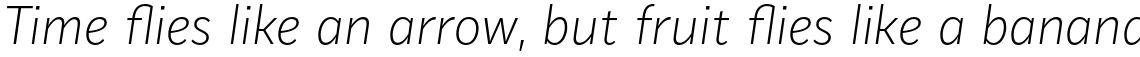 Mediator Extra Light Italic