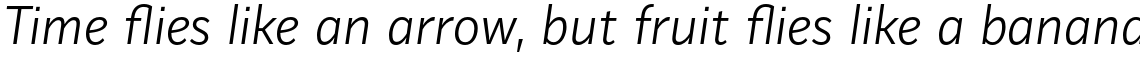 Mediator Light Italic