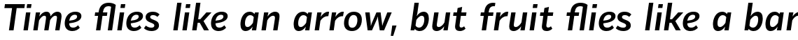 Mediator Bold Italic