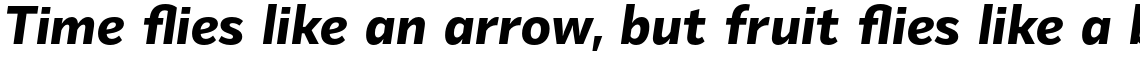 Mediator Extra Bold Italic