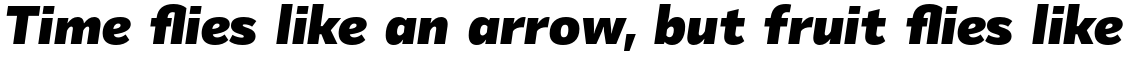 Mediator Black Italic
