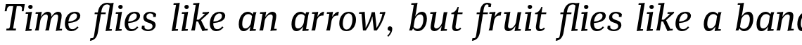 Mediator Serif Narrow Italic