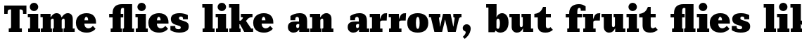 Mediator Serif Narrow Black