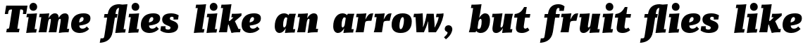 Mediator Serif Narrow Black Italic